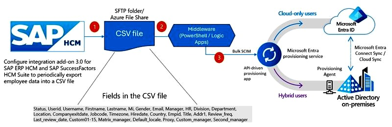 SAP HCM: ERP czy chmura? Wybierz system HR dopasowany do firmy