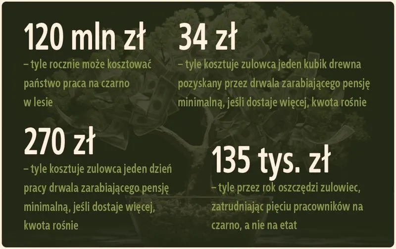 Skutki pracy na czarno