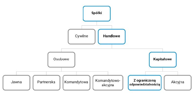 Strategia podatkowa dla spółek