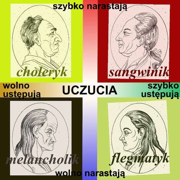 Temperamenty w pracy