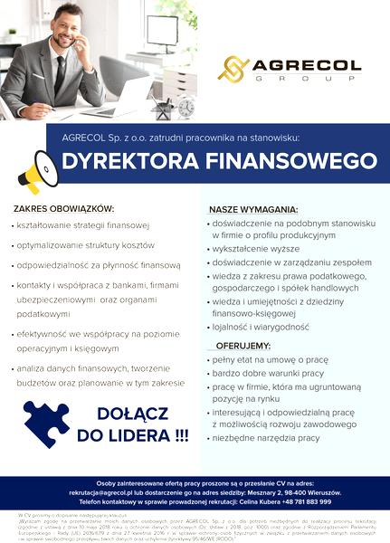 Zakres obowiązków dyrektora finansowego
